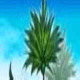 Download Stranded Mysteries of Time Cell Phone Game